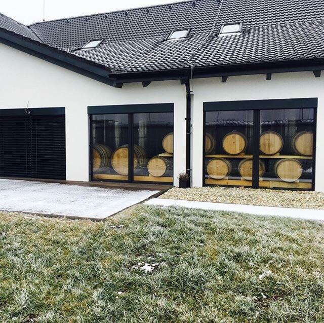 Penzion Vinarstvi Bilkovi Velké Bílovice 外观 照片